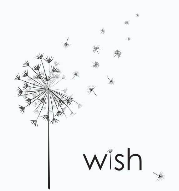 ilustrações de stock, clip art, desenhos animados e ícones de dandelion make a wish - dandelion