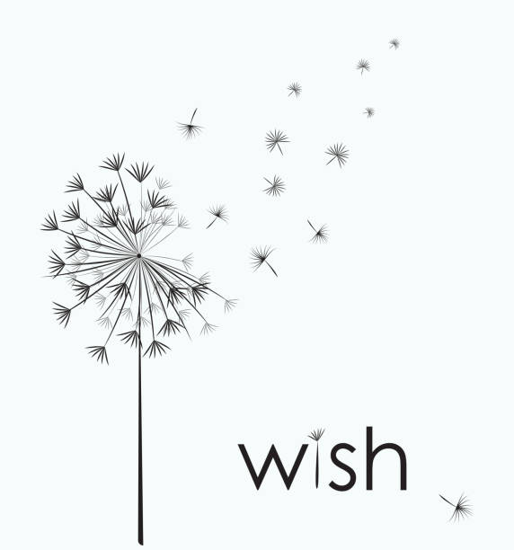 Dandelion make a wish Dandelion vector. Wish. Simple minimalist style. luck illustrations stock illustrations