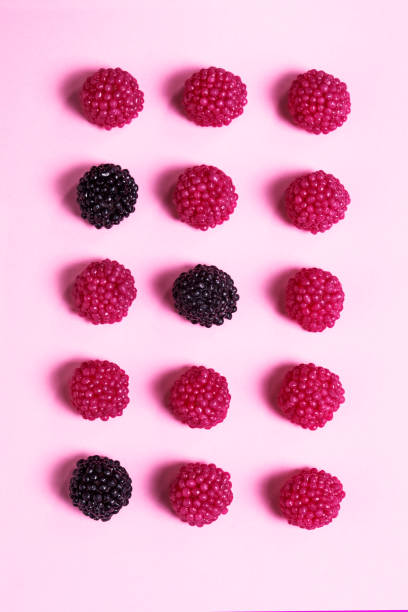 Fresh Blackberries on a pastel colored background