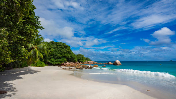 istock paradise beach on the seychelles 19 861044180