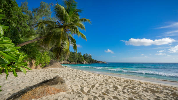 istock paradise beach on the seychelles 2 861047516
