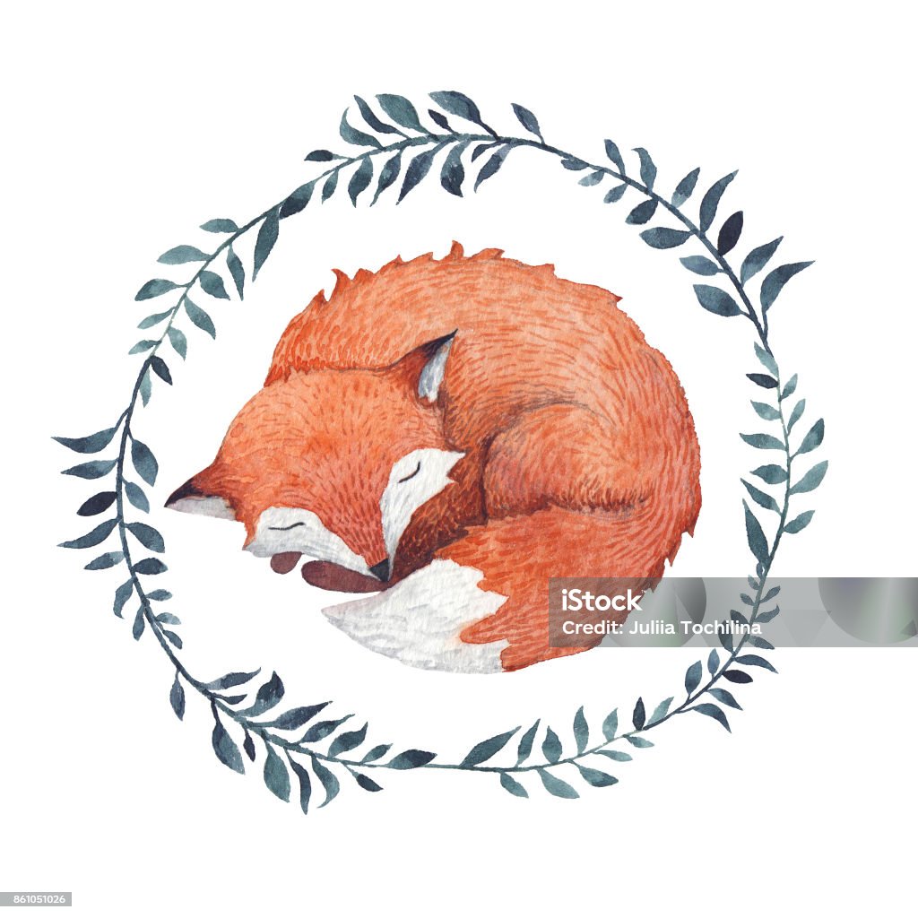 Sleeping fox A cute sleeping fox inside a wreath of branches. Watercolor Painting stock illustration