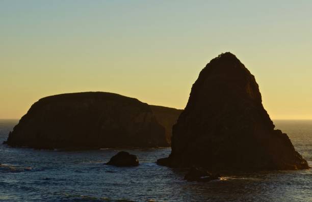 istock Oregon's Whaleshead Rock 861054060