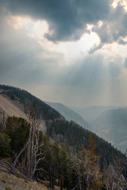 beartooth góry absaroka zakres - mountain montana mountain peak mountain range zdjęcia i obrazy z banku zdjęć