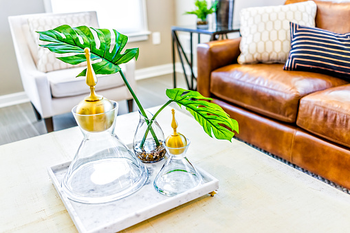 Primer plano macro de la bandeja de la porción con vasos vacíos y planta en escena modelo casa o apartamento por sofá de cuero marrón photo