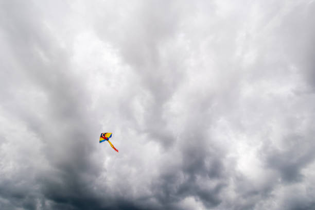 istock Flying kite in the air. Dark clouds on the background 861064010