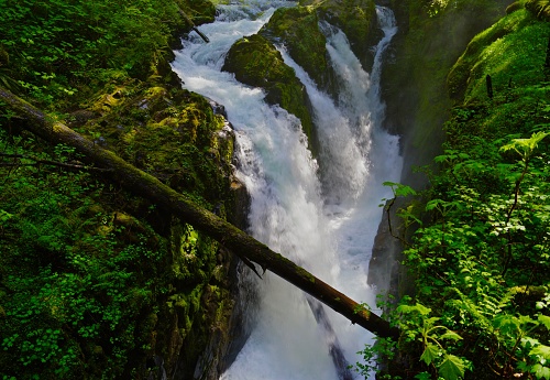 Northwest Washington's Olympic Mountains.