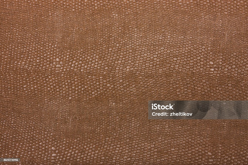 Skin Color Wall Texture High Resolution Texture Background Skin Stock Photo - Download Image ...