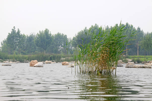 Water rock landscape in a park, china