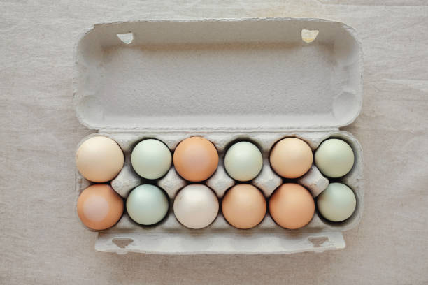 istock dozen organic free range eggs in carton 861083666