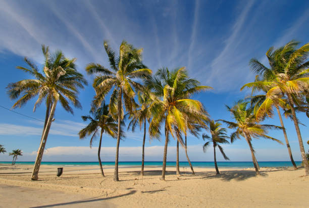 istock Tropical beach at Santa maria del mar, cuba 861092322