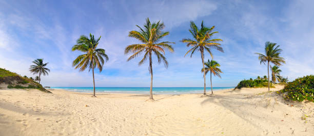 istock Santa Maria beach panorama, cuba 861092390