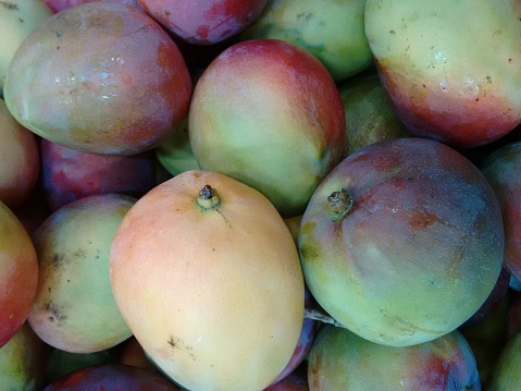 The mango is a fleshy yellowish-red tropical fruit that is eaten ripe or used green for pickles or chutneys.