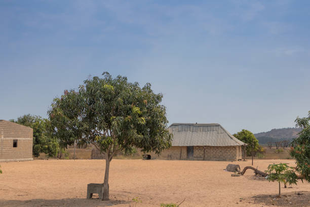 istock Small African village. Angola 861100726