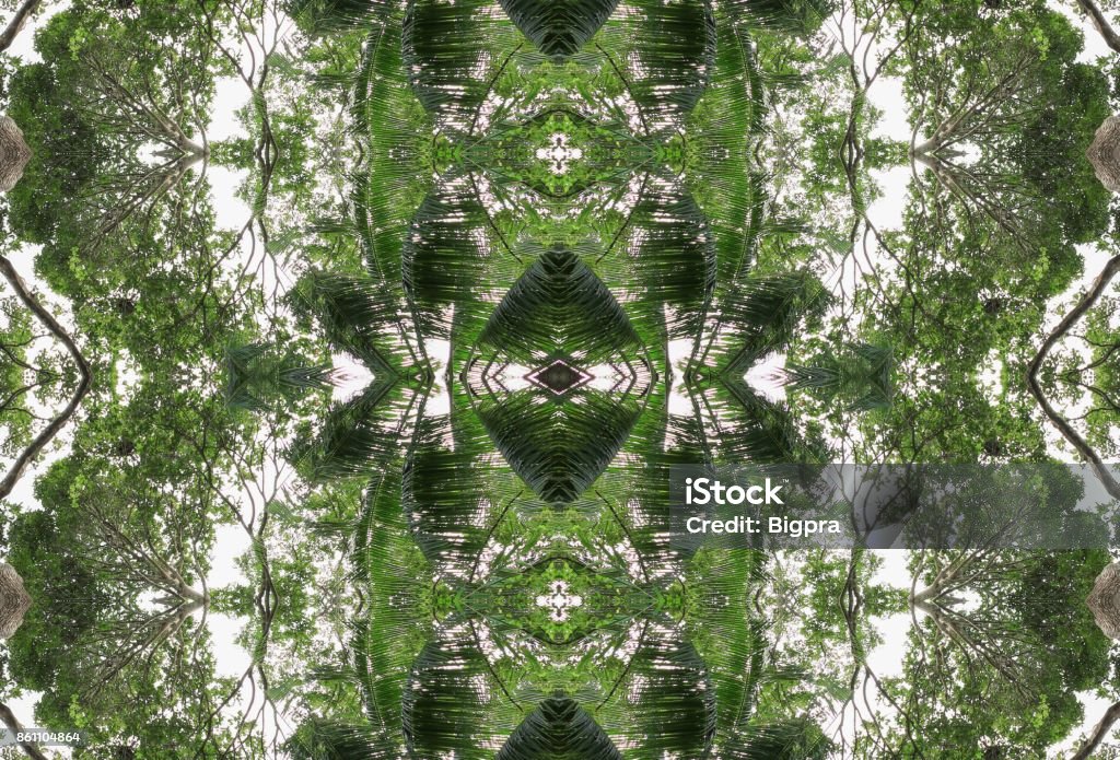 Beautiful Seamless Tree Concept For Background Stock Photo - Download ...