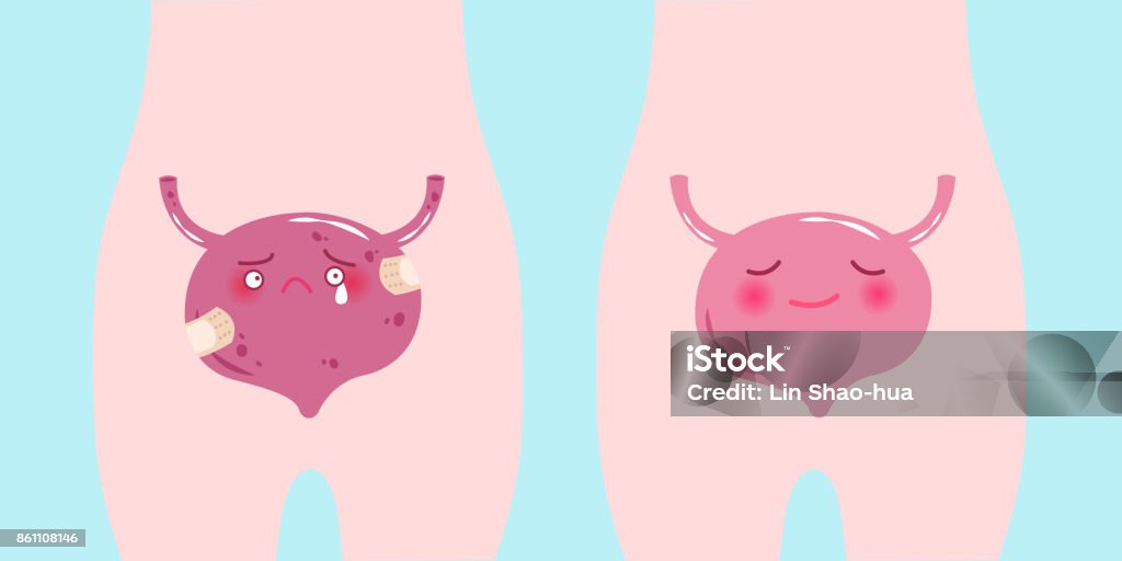 Cartoon Bladder Problem Cute Cartoon Bladder Stock Illustration - Download Image Now - Bladder ...