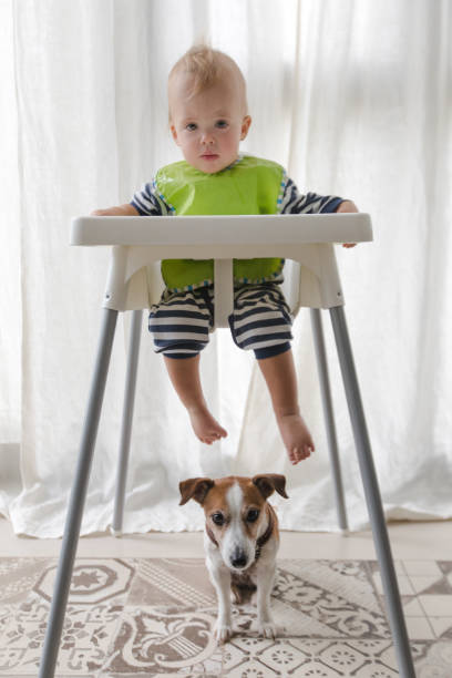 istock Cute boy and dog under high chair 861111272