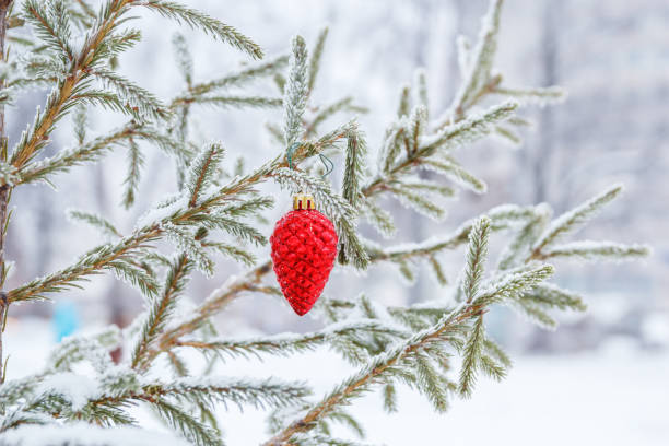 istock Red cone on a branch of a Christmas tree 861111874