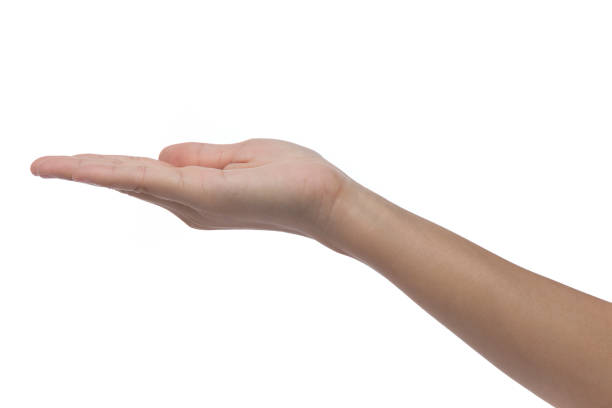 istock Empty woman hand holding isolated on white background. 861119184