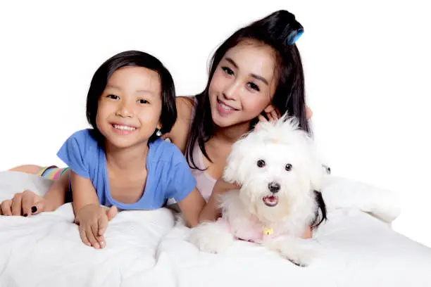Image of pretty mother and her daughter playing with their Maltese dog on the bed, isolated on white background