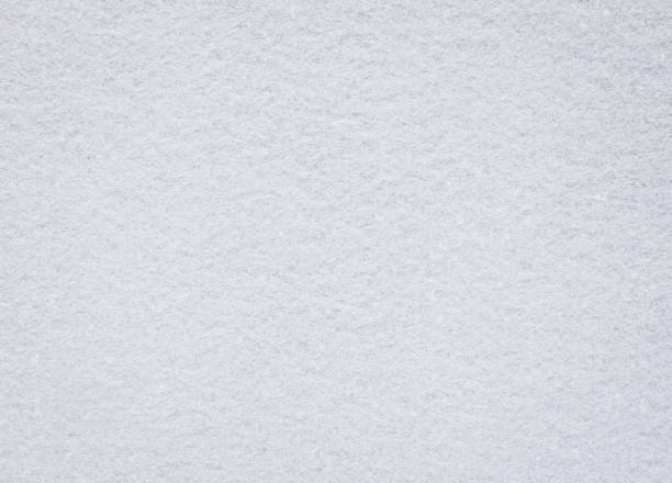 White felt texture. Blank fabric background. Detail of carpet material.