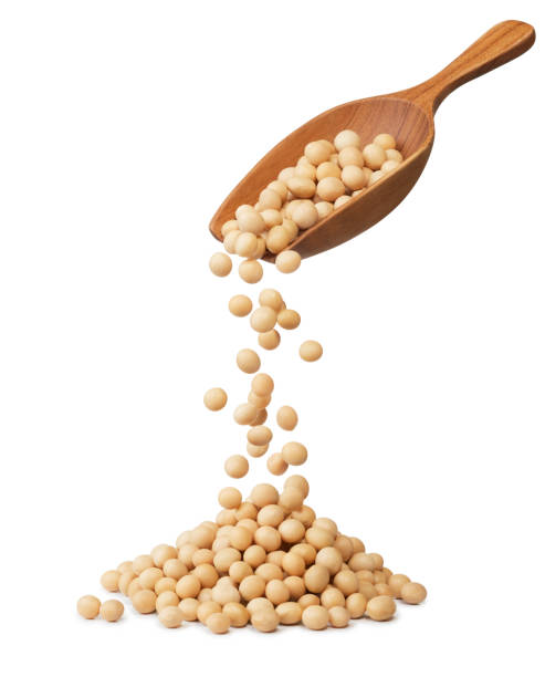 soybeans - falling beans imagens e fotografias de stock
