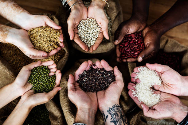 istock Hands holding grains and photoshooting 861132722