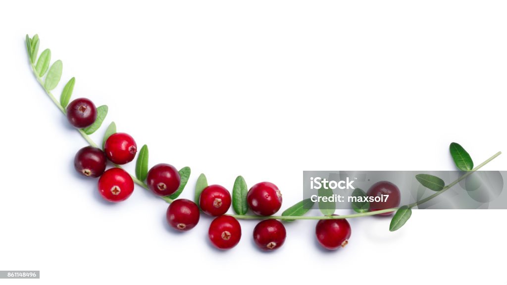 Cranberries branch with leaves, top view, paths Cranberries (fruits of Vaccinium oxycoccus) with leaves, top view. Clipping paths, shadow separated Cranberry Stock Photo