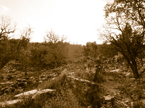Termessos ruins. Turkey