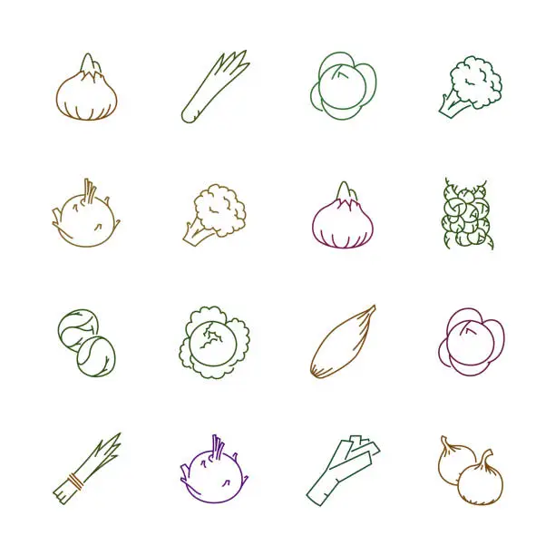 Vector illustration of Vegetables icons - Onion, cabbage and cauliflower