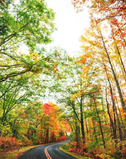 istock Autumnal road in new hampshire 861157686