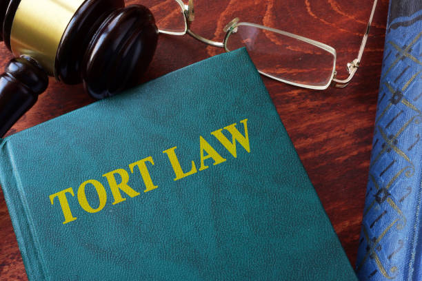 istock Tort law title on a book and gavel. 861160522