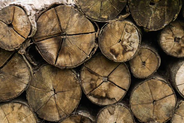 istock pile of wood logs 861161288