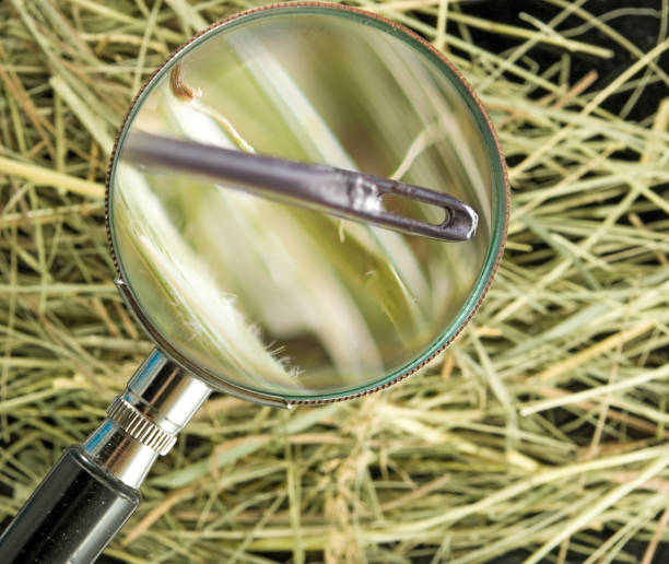 istock image of needle in the hay closeup 861162658