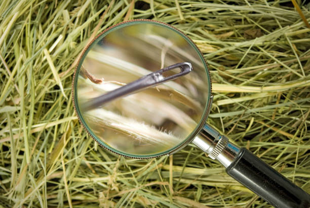 istock image of needle in the hay close up 861162660