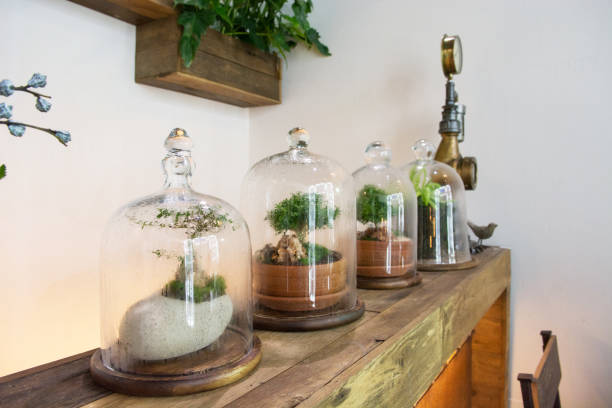istock Retro Plants in a glass vase standing on a pedestal. 861168496