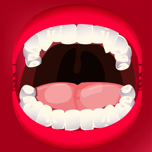 istock open mouth and teeth with tongue.dental concept - vector illustration 861172206