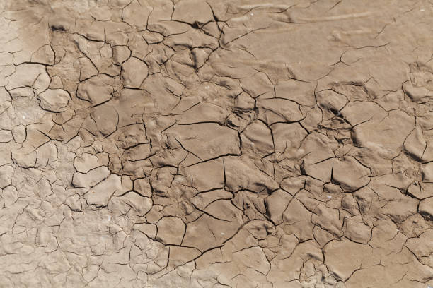 трещины сухой грязи - 12018 стоковые фото и изображения