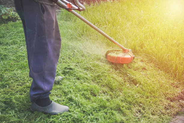 istock Man cutting grass with lawn mower with sunlight 861176634