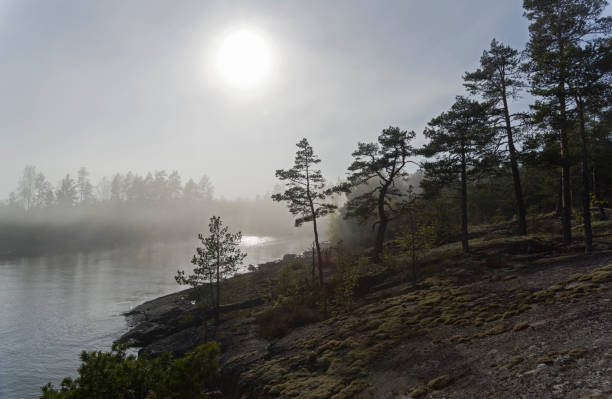 istock The sun shines through thick fog.  Karelia, Russia. 861177200