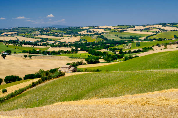 Summer landscape in Marches (Italy) near Ostra