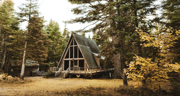 cabin in the woods cabin in the woods summer resort stock pictures, royalty-free photos & images