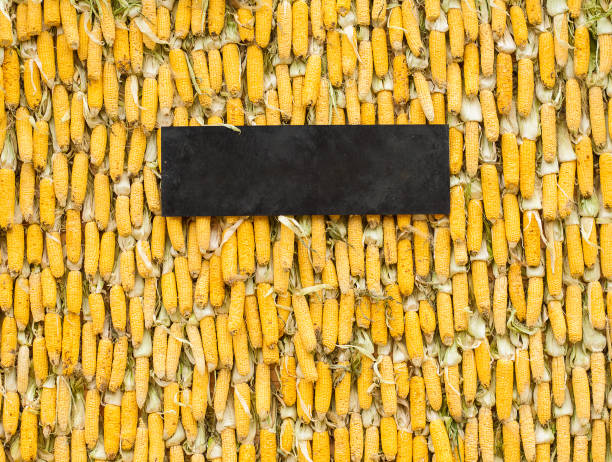 Corn cobs
