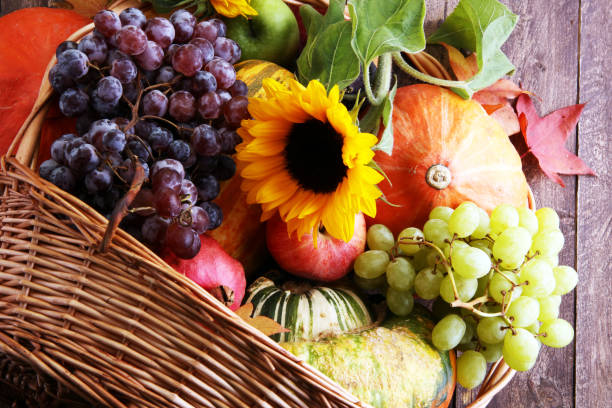 istock Autumn nature concept. Fall fruit and vegetables on wood. Thanksgiving dinner 861186210