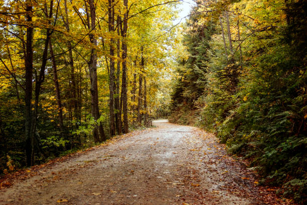 istock Country road in autumn 861189478