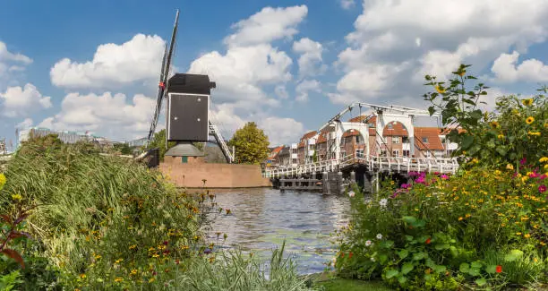 Panorama of flowers in front of a windmill in Leiden, Netherlands
