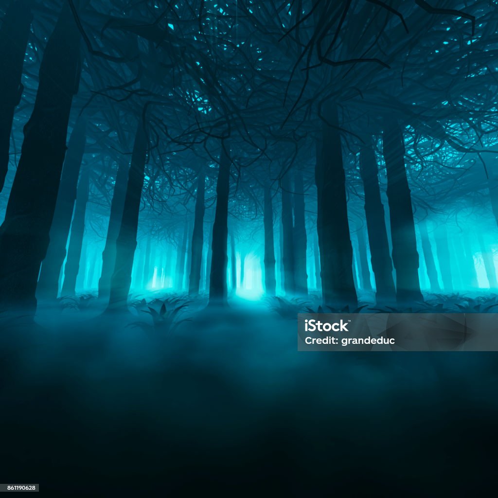 Spooky forest concept 3D illustration of dark misty forest Forest Stock Photo