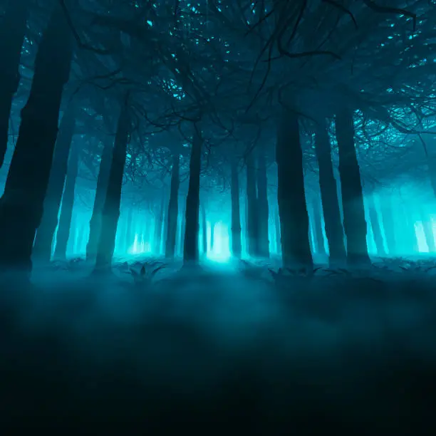 Photo of Spooky forest concept