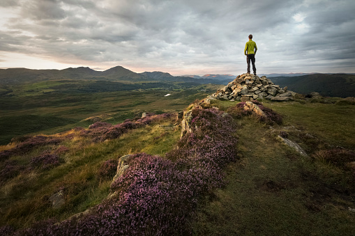 Strong hiker overlooking the beautiful mountains of the lake district at sunset with sunlight lit purple heathland