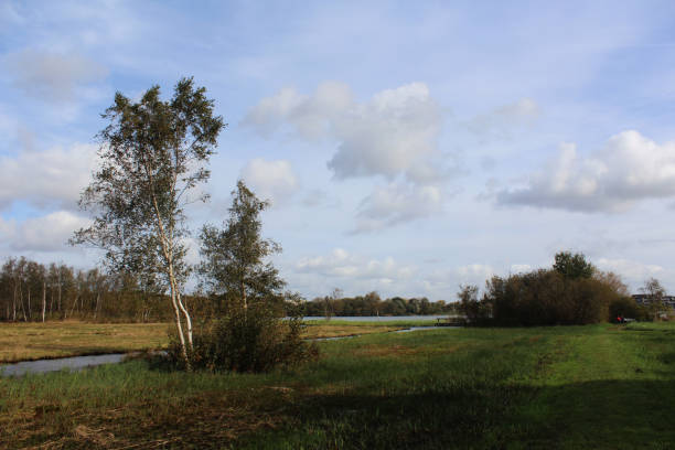 istock Amsterdamse polder in autumn 861201830